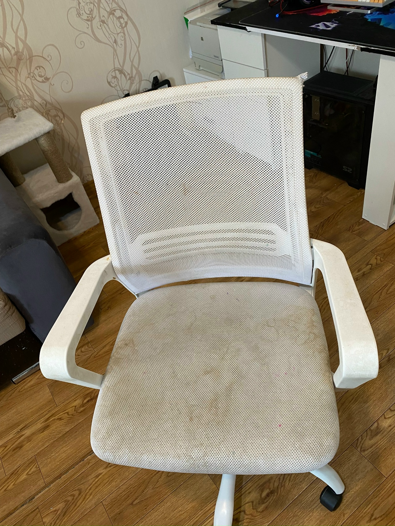 Стул до химчистки